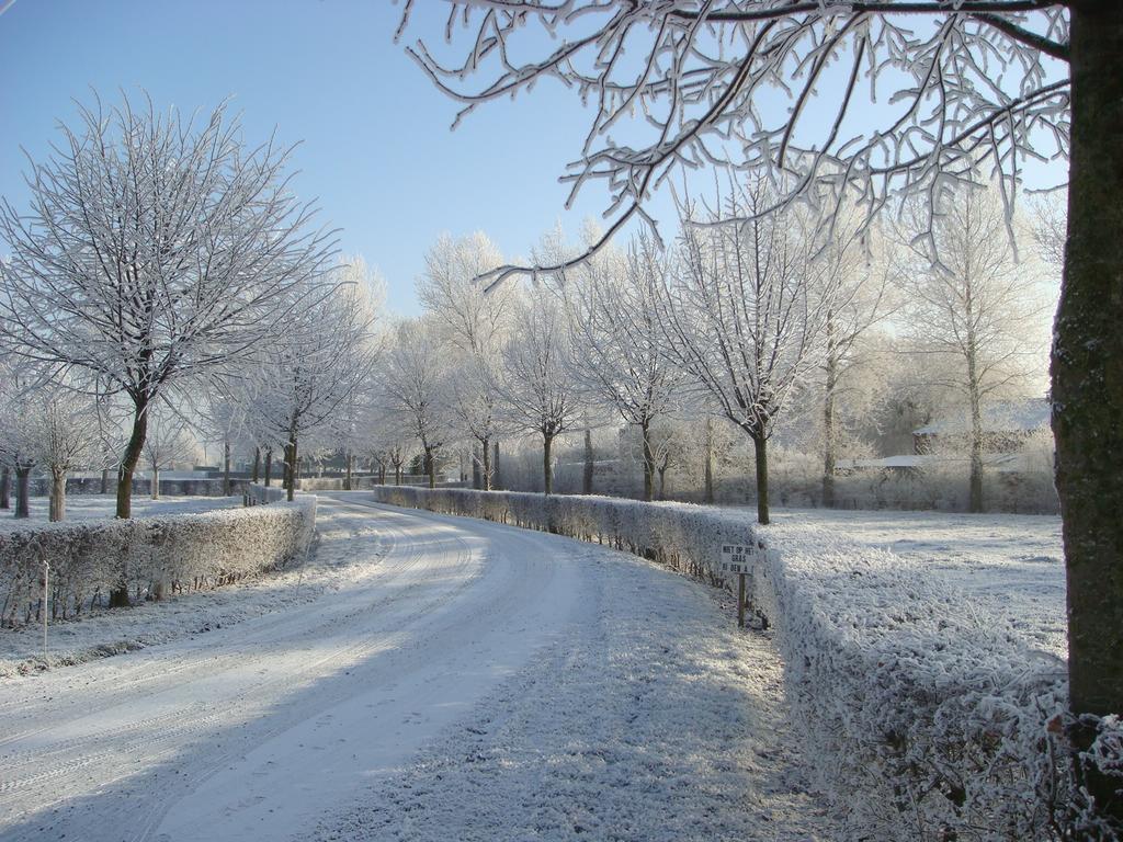 Holiday Home De Colve Brugge Bagian luar foto