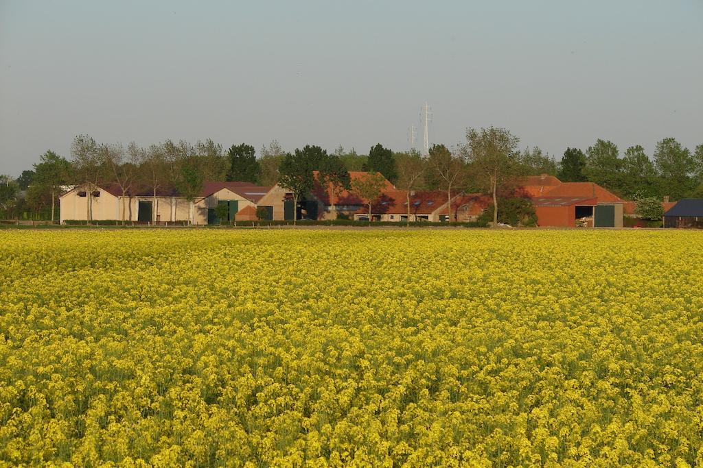Holiday Home De Colve Brugge Bagian luar foto