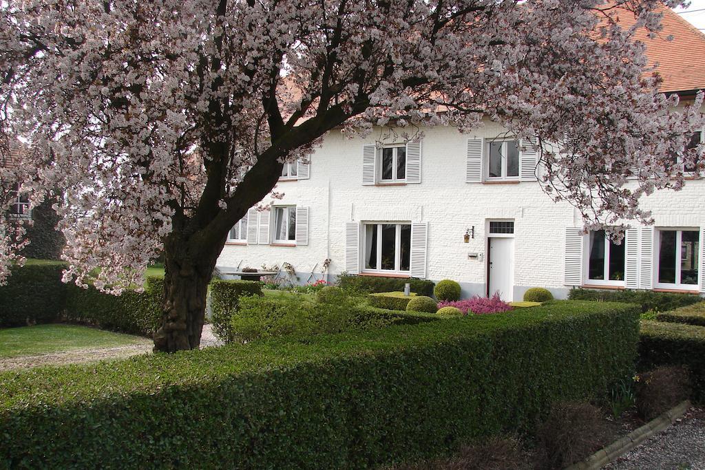 Holiday Home De Colve Brugge Bagian luar foto